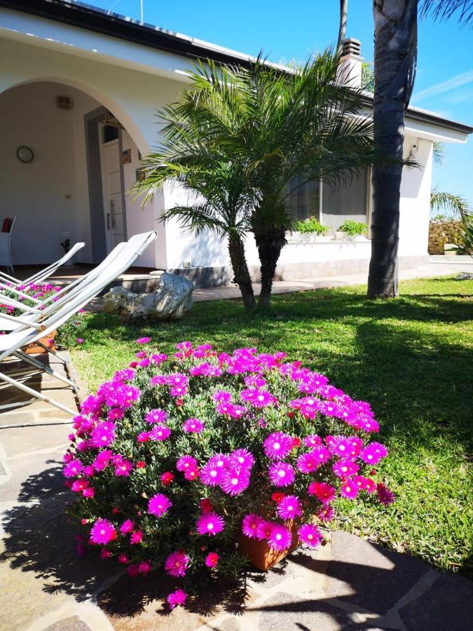 Villa Manzella Piscina Privata Cinisi Buitenkant foto