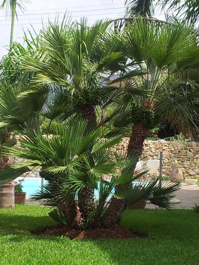 Villa Manzella Piscina Privata Cinisi Buitenkant foto